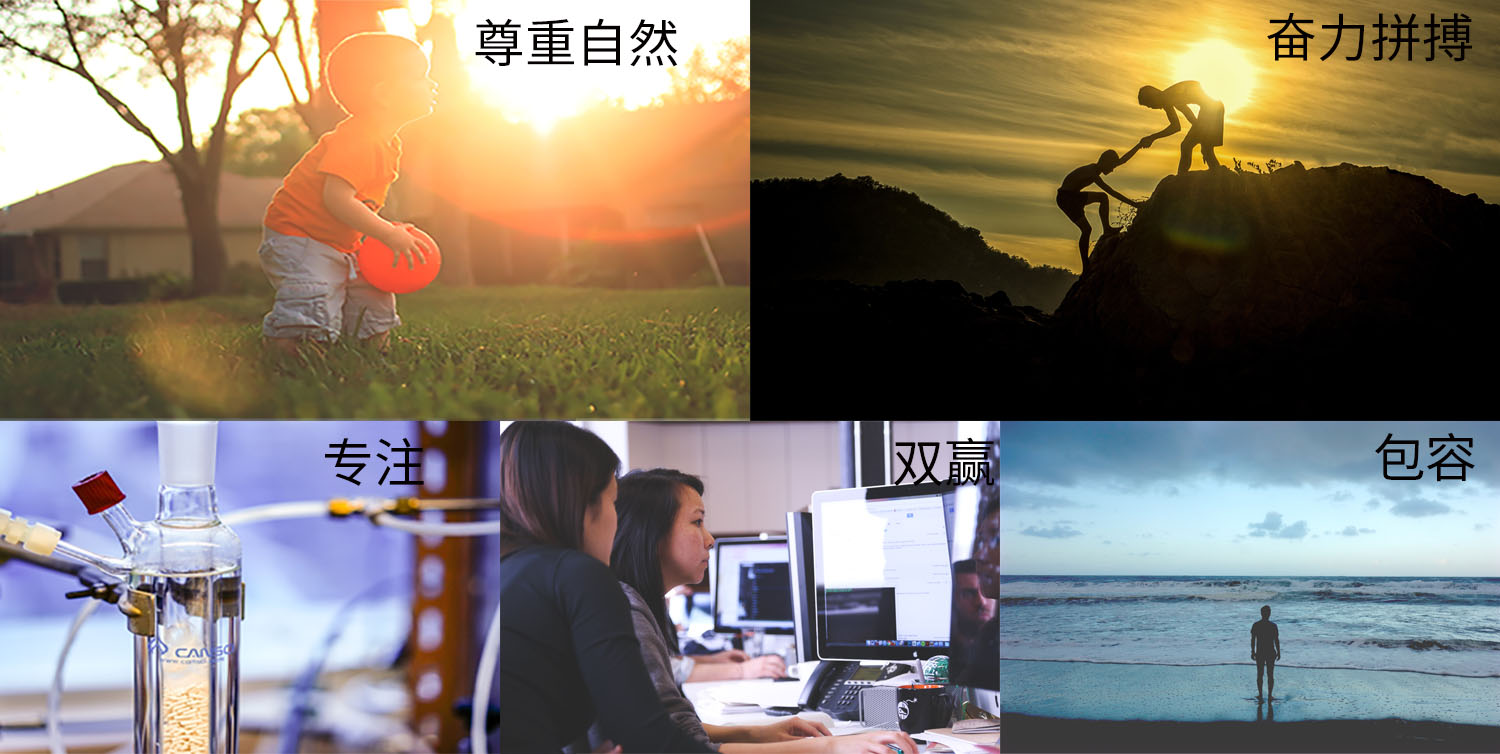 corporate culture.jpg corporate culture.jpg